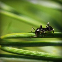 /album/discpurconsconfgen/photolia-a05-jpg/