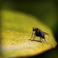/album/discpurconsconfgen/photolia-a07-jpg/
